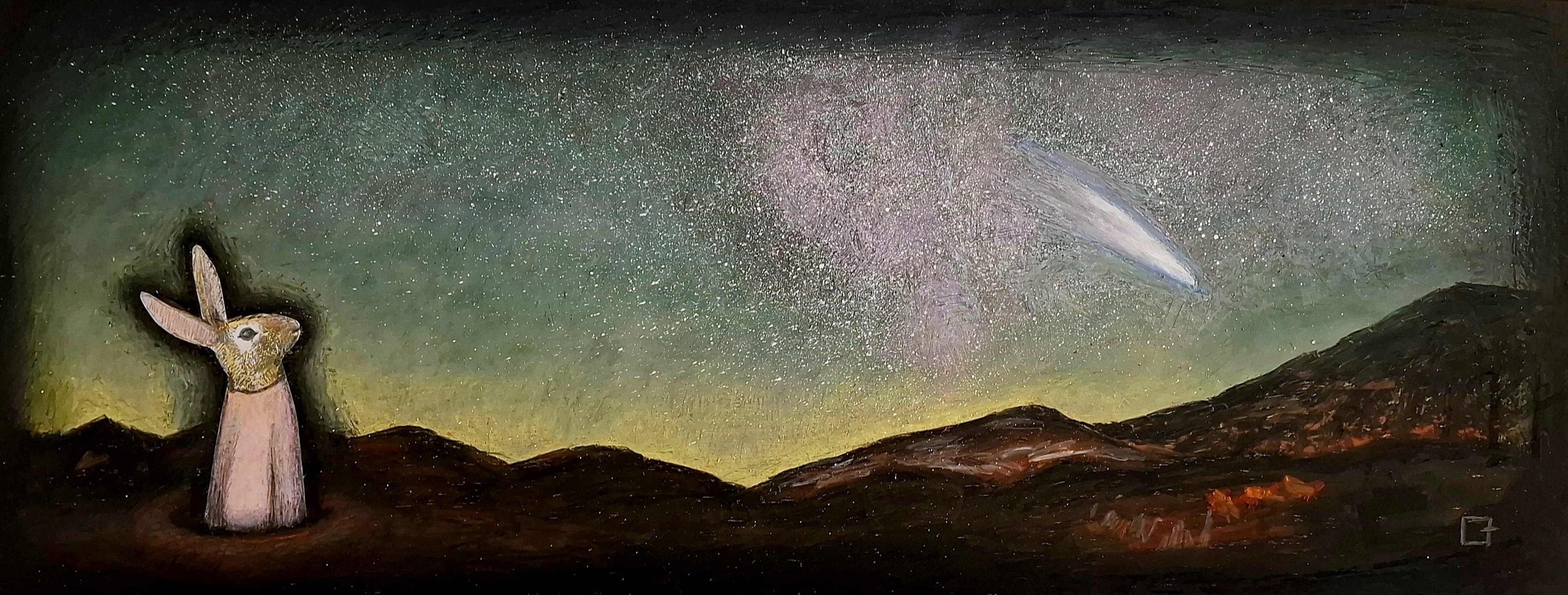 Liekie Fouche - Shooting Star
